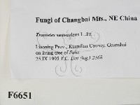 登錄號:F0006651藏品圖，第2張