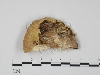 登錄號:F0006651藏品圖，第3張