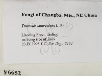 登錄號:F0006652藏品圖，第2張