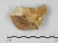 登錄號:F0006652藏品圖，第3張