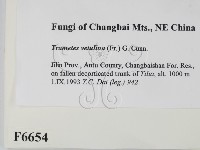 登錄號:F0006654藏品圖，第2張