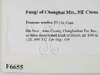 登錄號:F0006655藏品圖，第2張