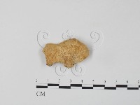 登錄號:F0006655藏品圖，第3張