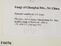 登錄號:F0006656藏品圖，第2張