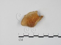 登錄號:F0006657藏品圖，第3張