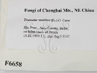 登錄號:F0006658藏品圖，第2張