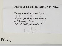 登錄號:F0006660藏品圖，第2張