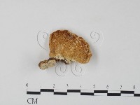 登錄號:F0006660藏品圖，第1張