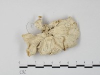 登錄號:F0006661藏品圖，第3張