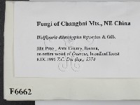 登錄號:F0006662藏品圖，第2張