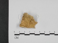 登錄號:F0006662藏品圖，第1張