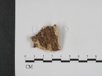 登錄號:F0006662藏品圖，第3張