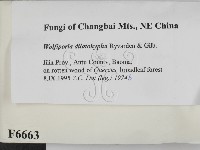 登錄號:F0006663藏品圖，第2張