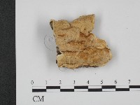 登錄號:F0006663藏品圖，第1張