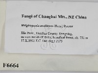 登錄號:F0006664藏品圖，第2張