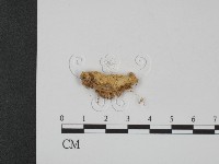 登錄號:F0006664藏品圖，第1張