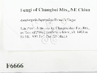 登錄號:F0006666藏品圖，第2張