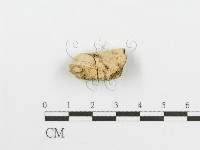 登錄號:F0006666藏品圖，第1張