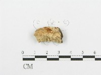 登錄號:F0006666藏品圖，第3張