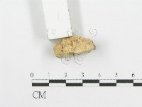 登錄號:F0006666藏品圖，第4張