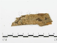 登錄號:F0006667藏品圖，第1張