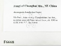 登錄號:F0006668藏品圖，第2張