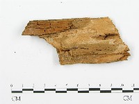 登錄號:F0006668藏品圖，第3張