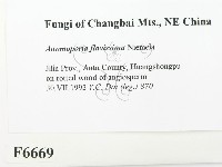 登錄號:F0006669藏品圖，第2張