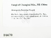 登錄號:F0006670藏品圖，第2張