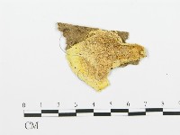 登錄號:F0006670藏品圖，第1張