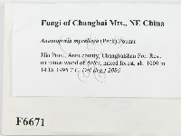 登錄號:F0006671藏品圖，第2張