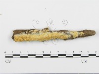 登錄號:F0006671藏品圖，第1張