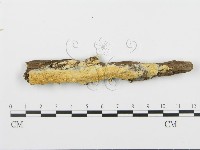 登錄號:F0006671藏品圖，第3張