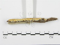 登錄號:F0006671藏品圖，第5張