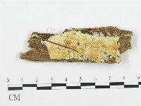 登錄號:F0006672藏品圖，第1張