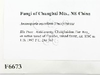 登錄號:F0006673藏品圖，第2張