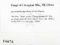 登錄號:F0006674藏品圖，第2張