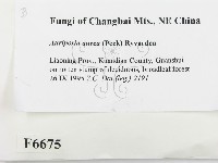 登錄號:F0006675藏品圖，第2張