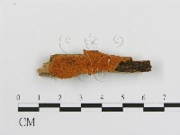 登錄號:F0006675藏品圖，第1張