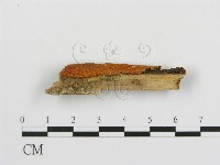 登錄號:F0006675藏品圖，第3張