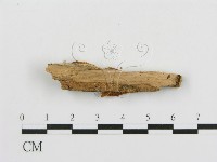 登錄號:F0006675藏品圖，第4張