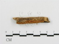 登錄號:F0006675藏品圖，第5張