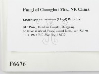 登錄號:F0006676藏品圖，第2張