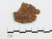 登錄號:F0006676藏品圖，第1張