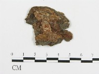 登錄號:F0006676藏品圖，第3張