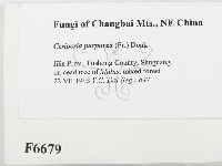 登錄號:F0006679藏品圖，第2張