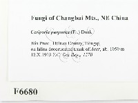 登錄號:F0006680藏品圖，第2張