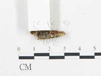 登錄號:F0006681藏品圖，第1張