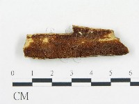 登錄號:F0006682藏品圖，第1張