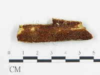 登錄號:F0006682藏品圖，第3張